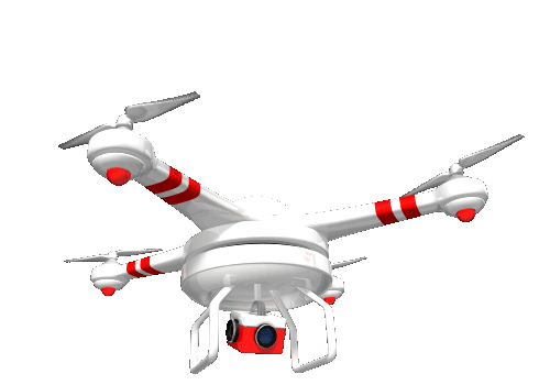 Drone BTPP