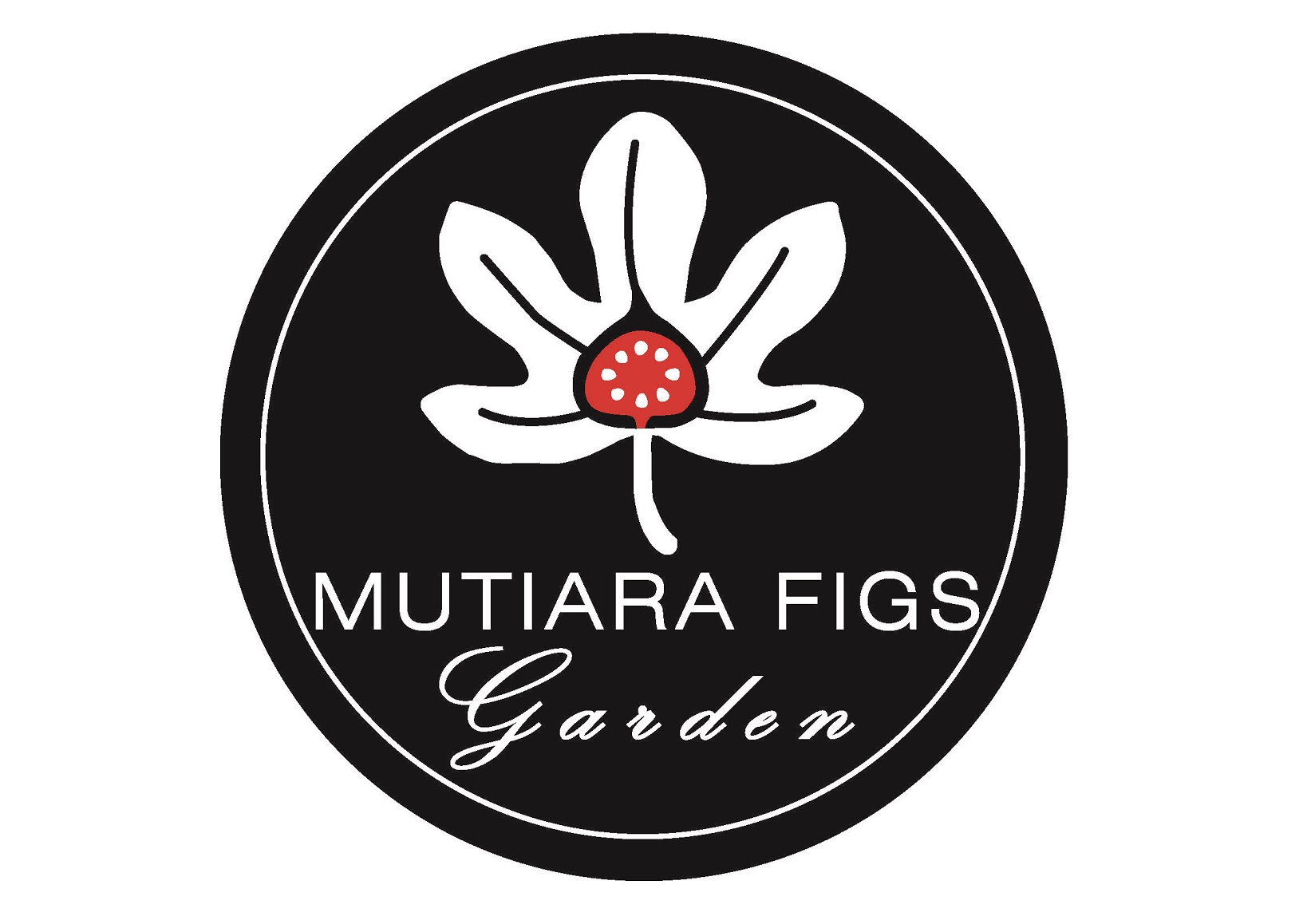 Mutiara Figs